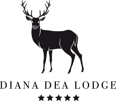logo diana 5 etoiles_retina